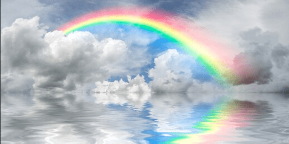 Schermata 2019-10-28 alle 14.30.50